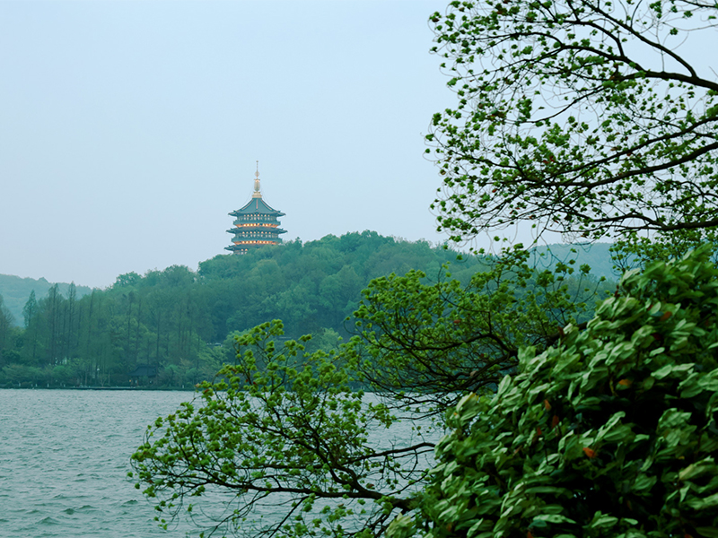 人文杭州，父母?jìng)儊?lái)了！河南礦山第十三屆孝文化感恩旅游節(jié)第三站